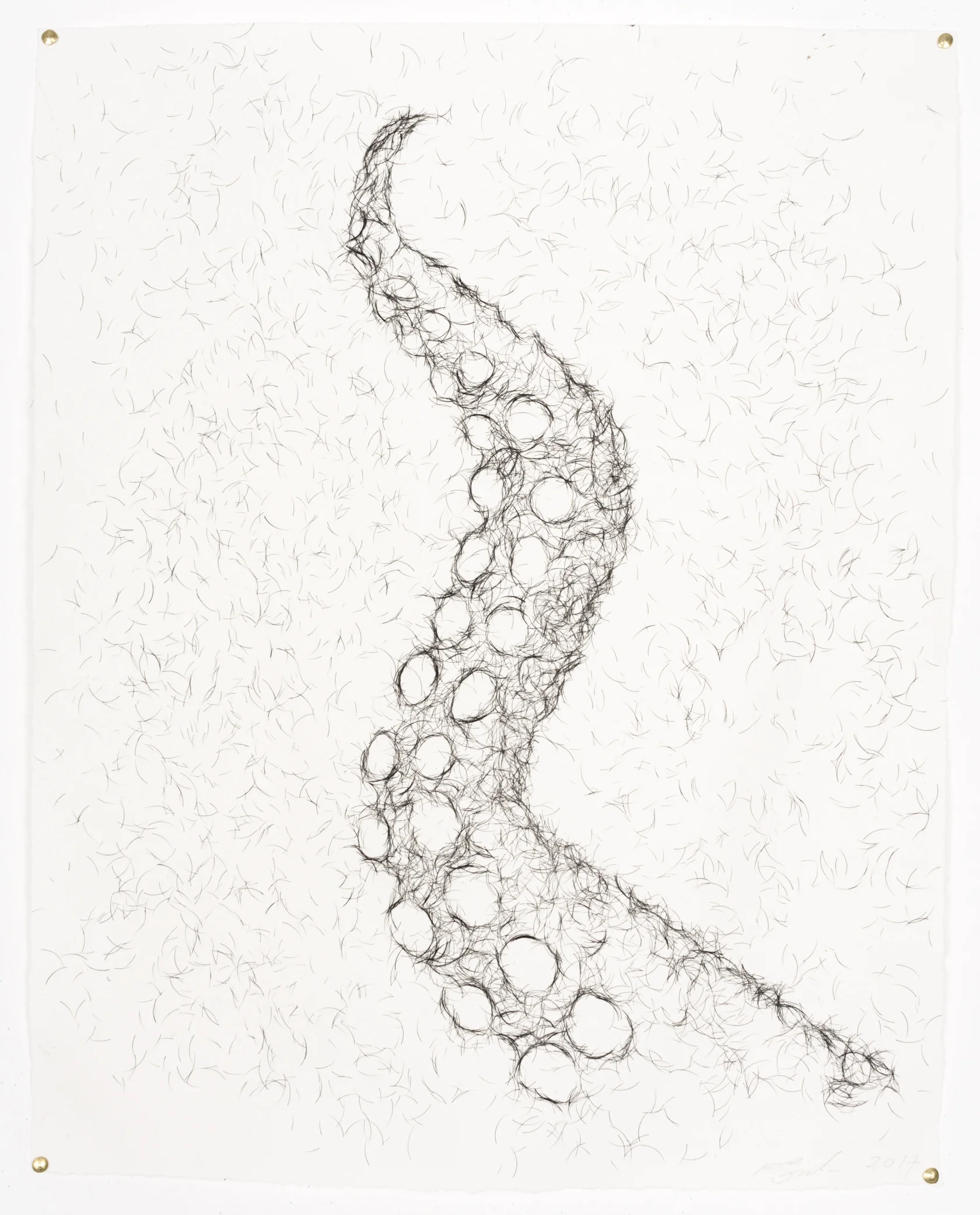 Tentacle 1, 2014