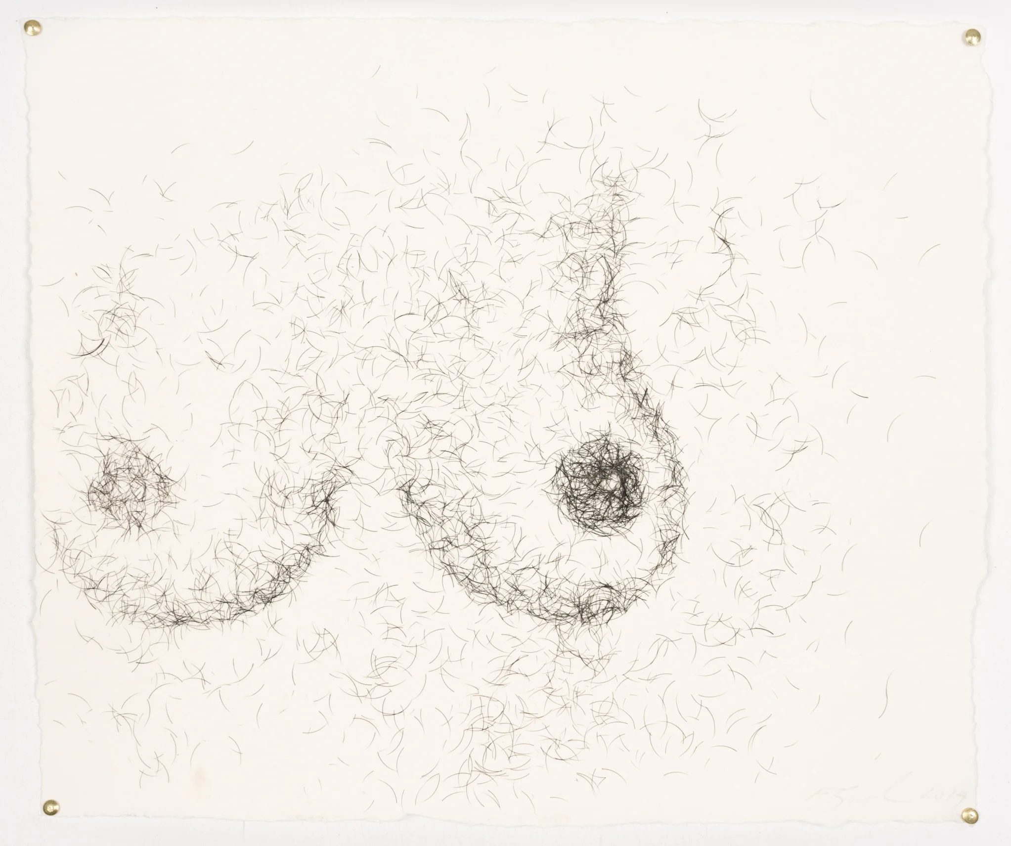 Tits, 2014