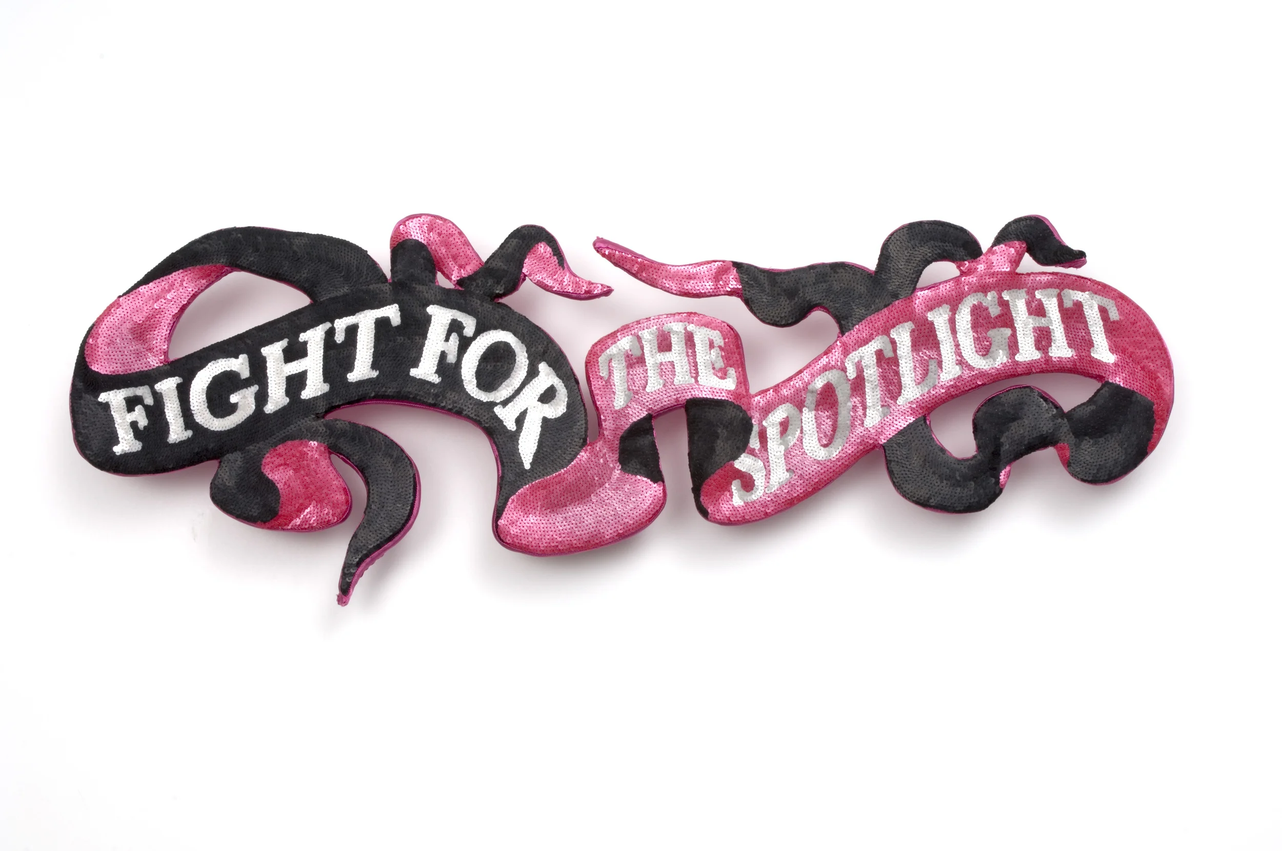 Fight for the Spotlight, 2007