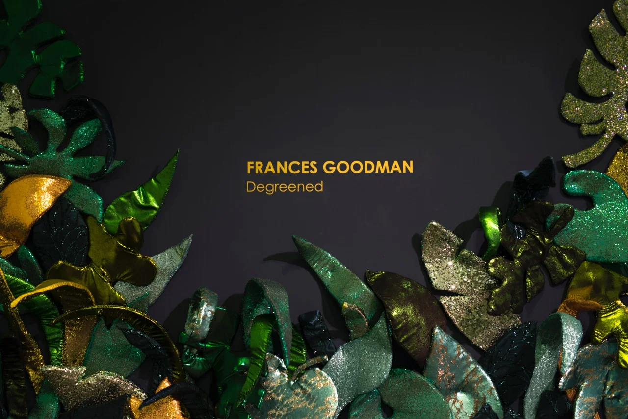 Frances Goodman_Vinyl Installation View .jpeg