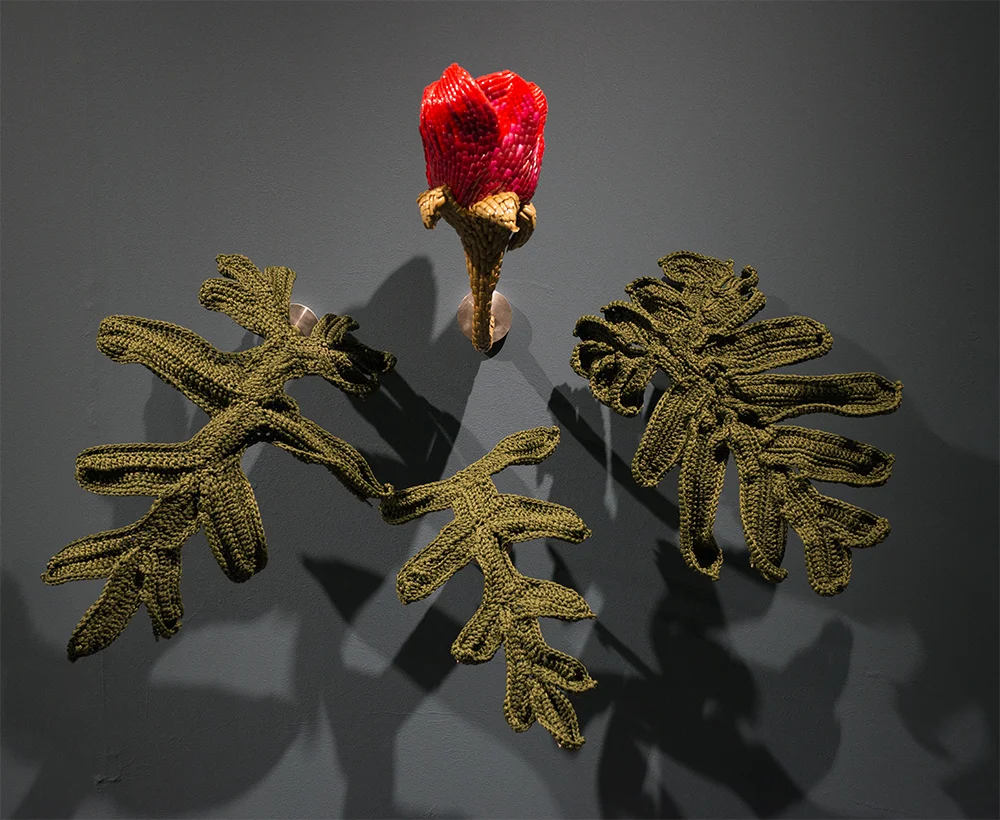 Frances Goodman_ Rose Bud Installation View.jpg