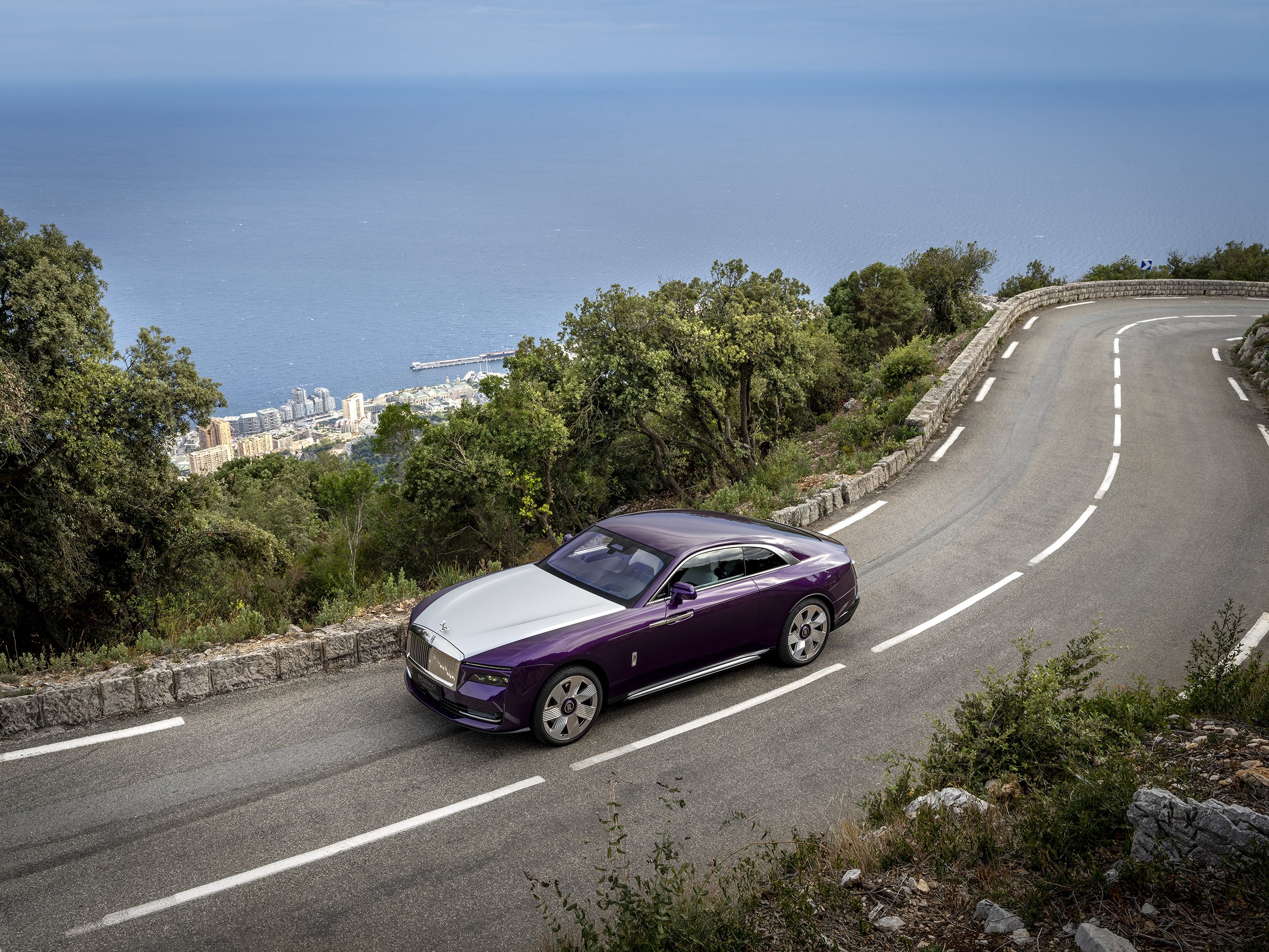 Monaco Spectre Purple top angle B.jpg