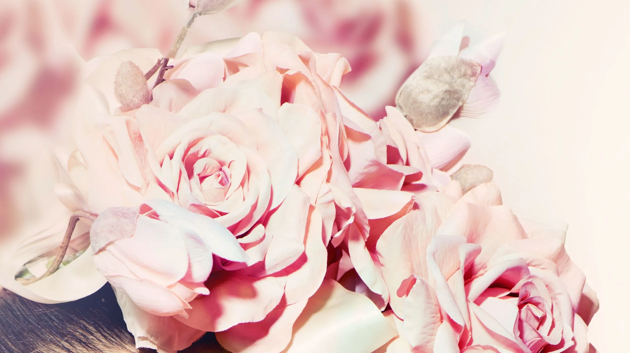 Beauty-Anniina-banner-hinnasto.jpg