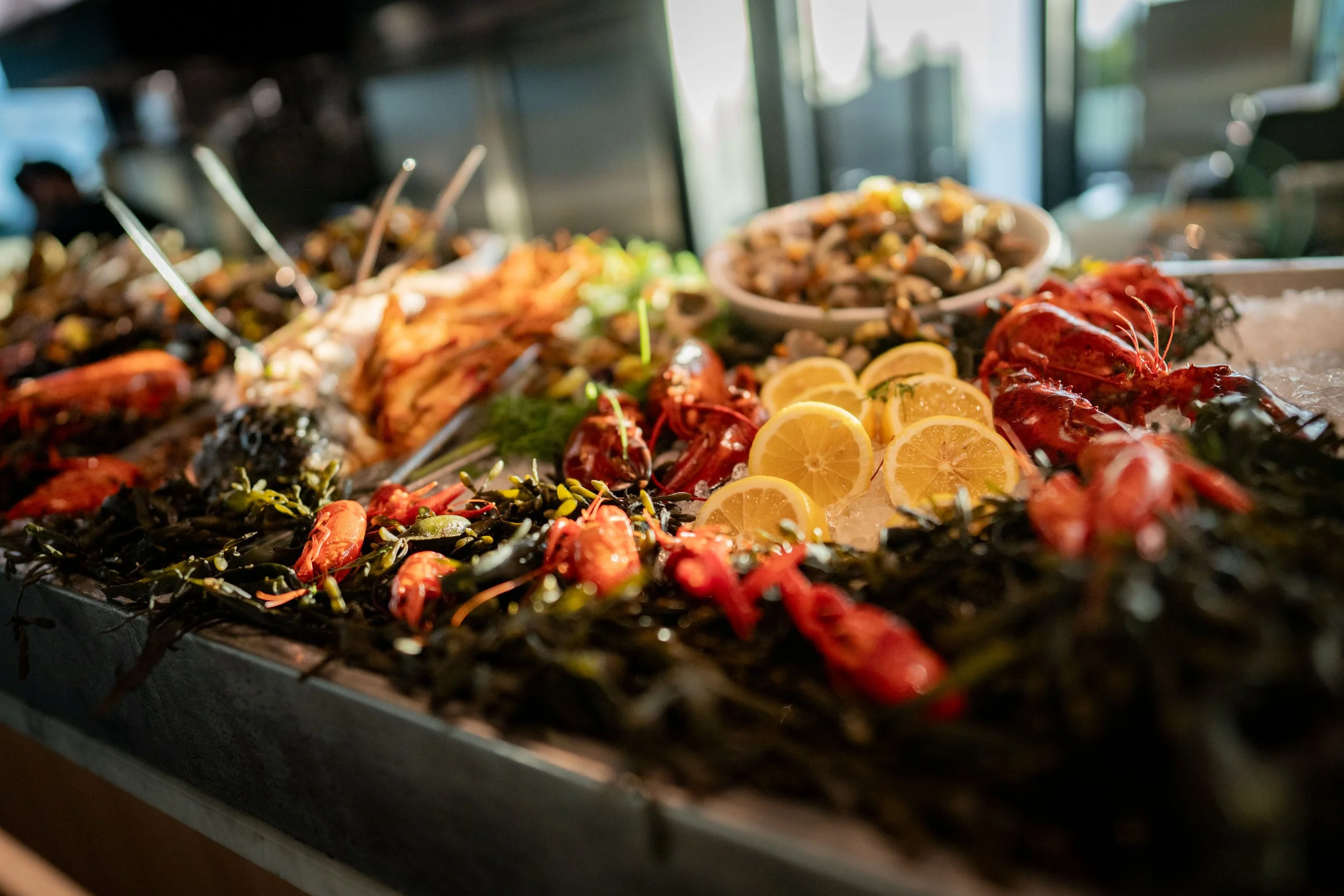Avelon_11092025-74.jpg