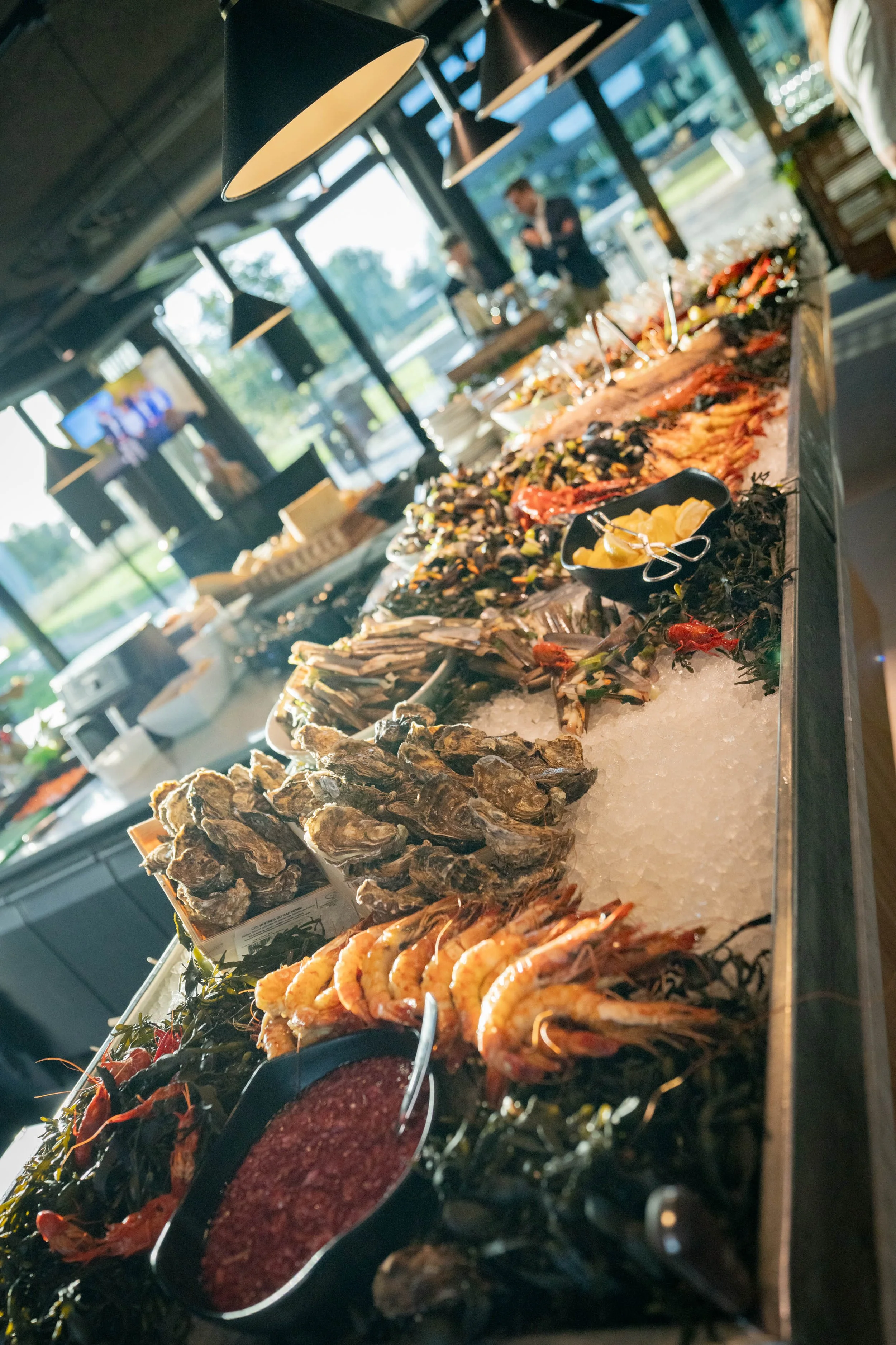 Avelon_11092025-56.jpg