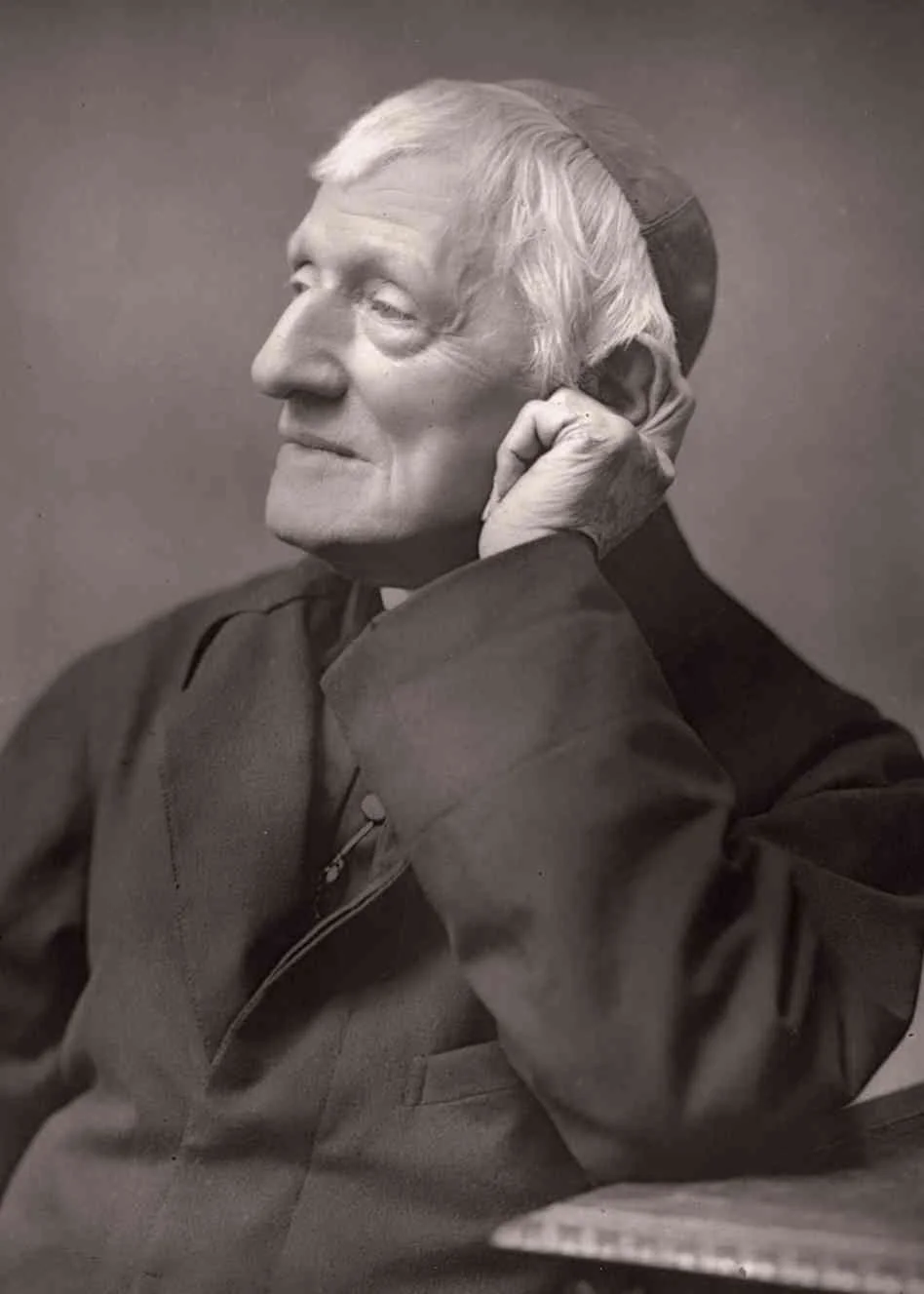 cardinal_custom-7b77f77fe5e946c25d095b8e2d888c4b178f1e1b-s6-c301.jpg