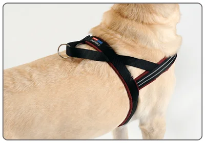 nosework harness