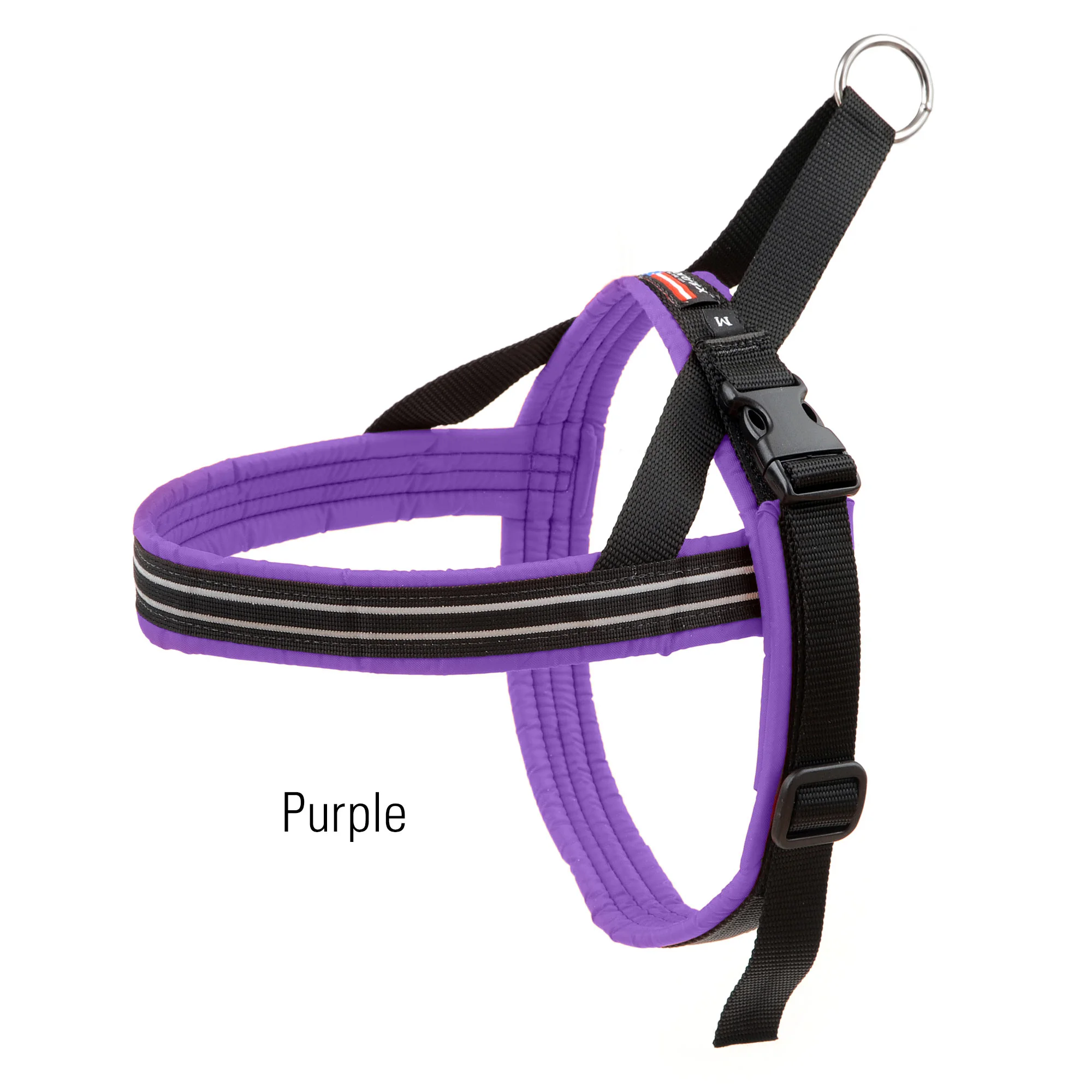 buy automatic fish feeder