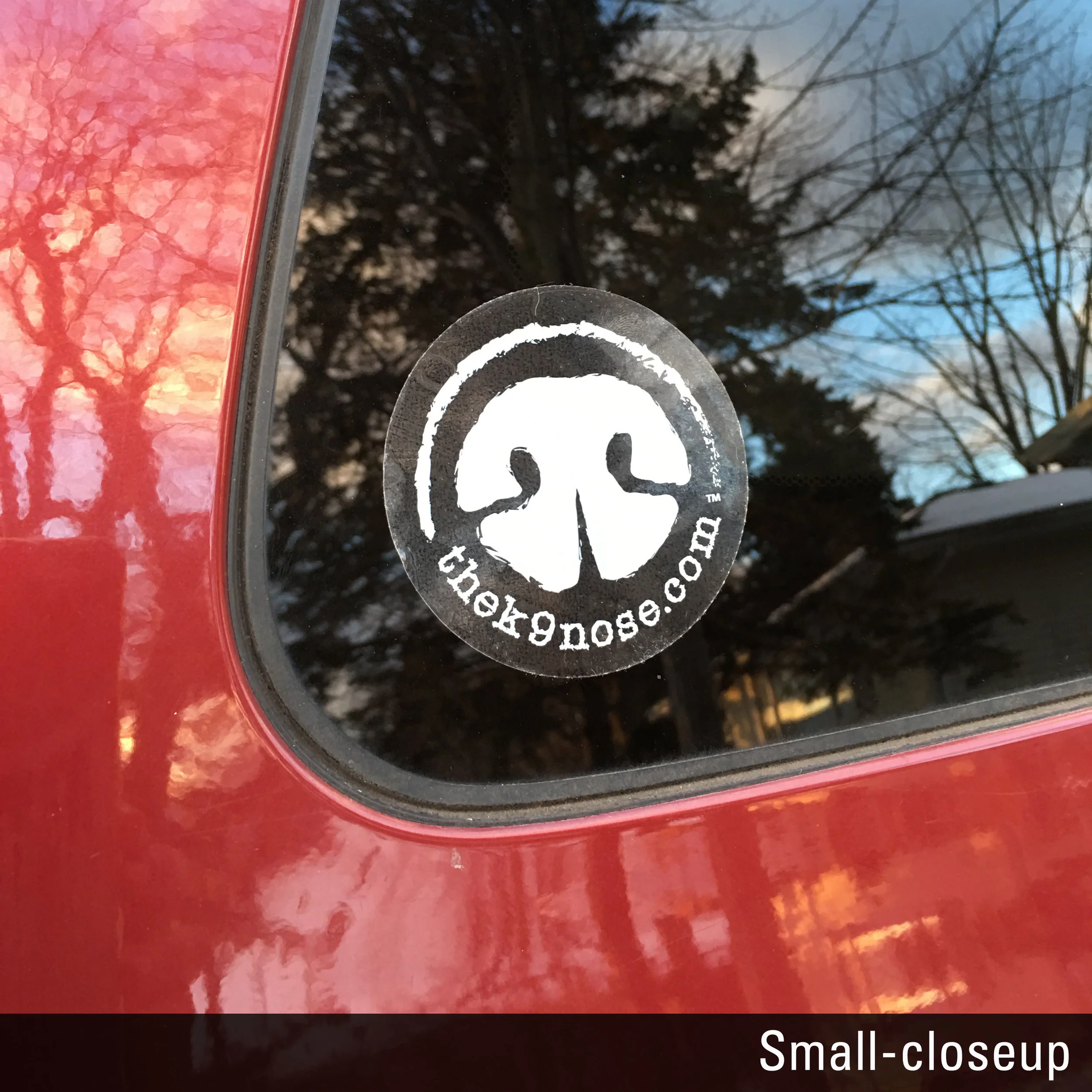 Decal_smallcloseup.JPG
