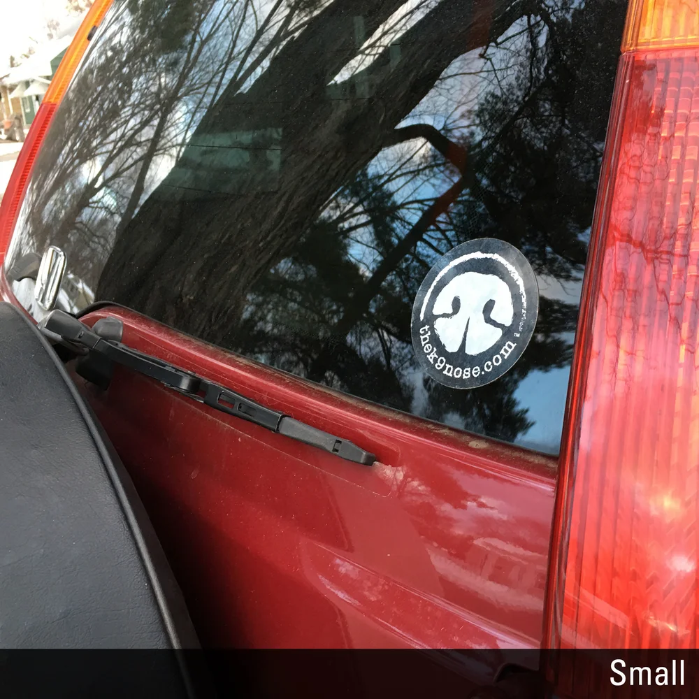Back Of Car Sticker