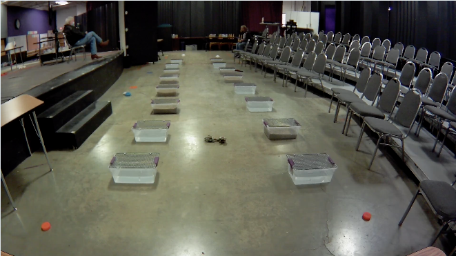 Sat Buried Master T2.png