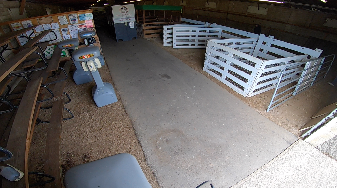 Elite Goat C1 Faribault.png