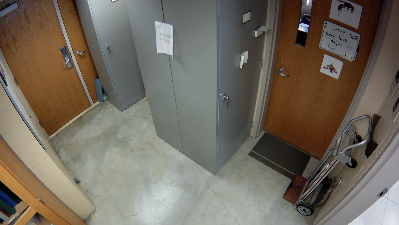 NW2 5Interior1 Micro-Lab c1.png