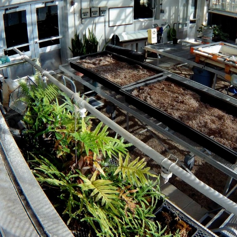Elite+2GreenHouse+c2.jpg