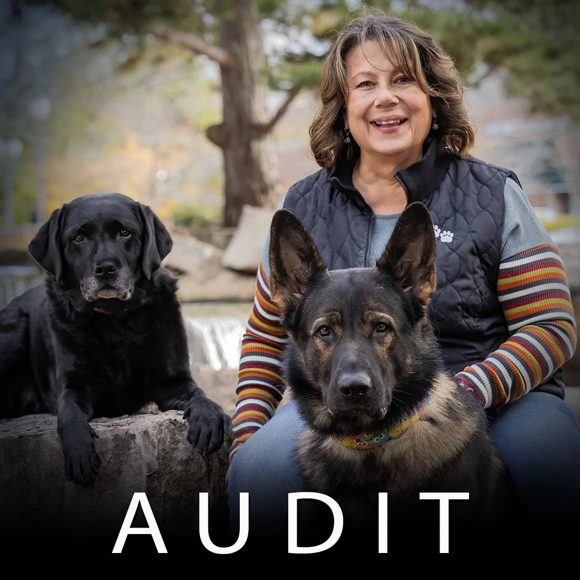 Nancy Reyes3_audit.jpg