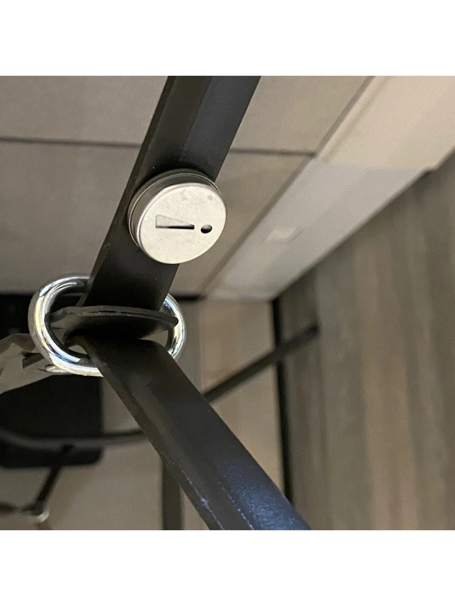 TinyTin under table.jpg