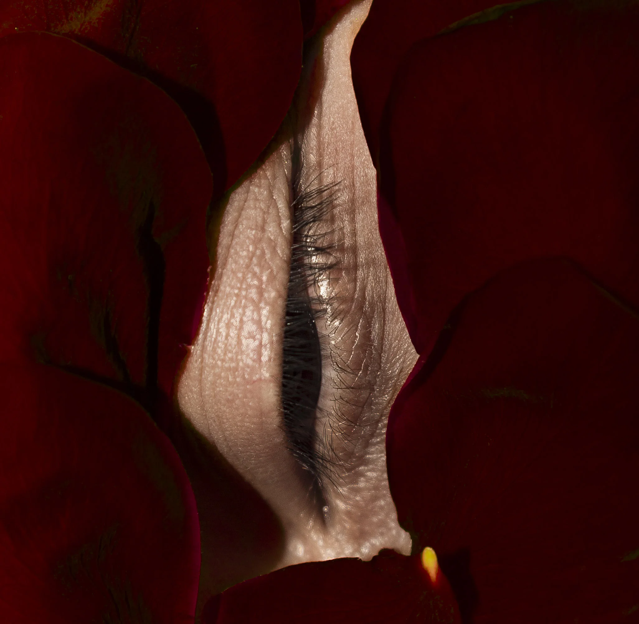 IT_20150217_0046-Modifier.jpg