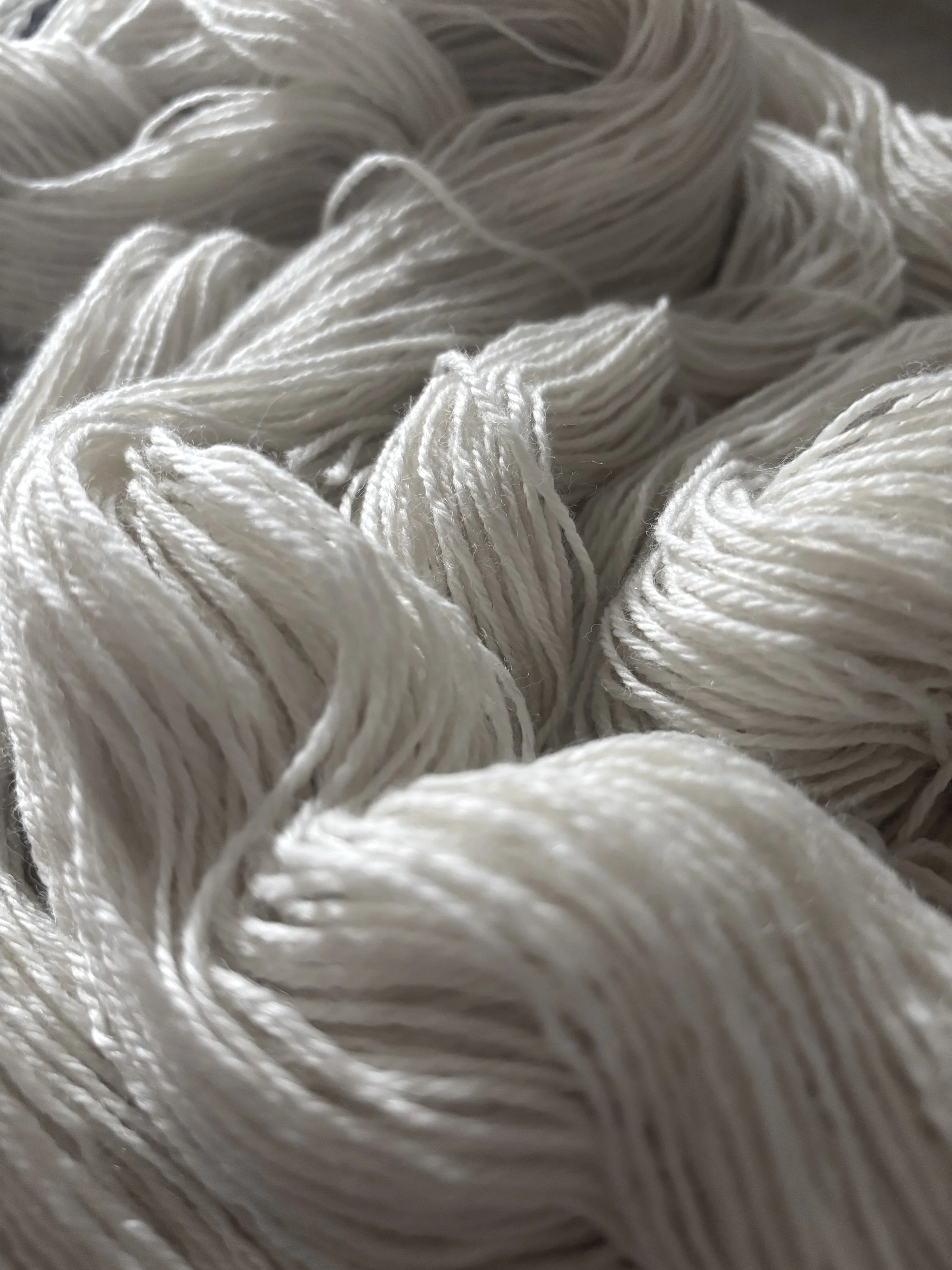 IMG_1408.jpeg (copie)