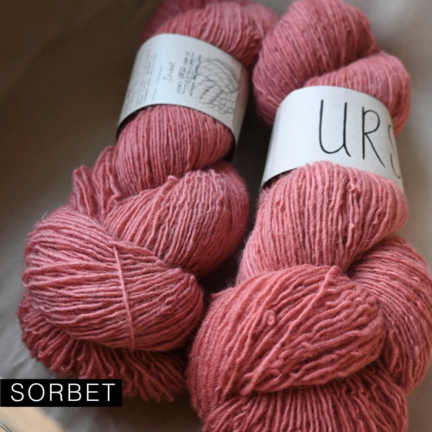 Mouton_sorbet.jpg