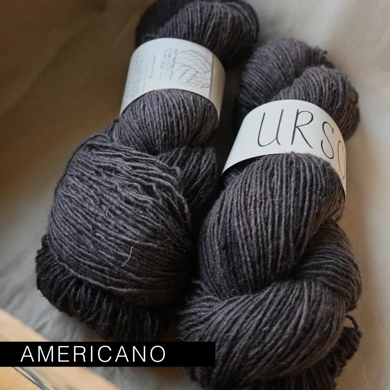 Mouton_americano.jpg