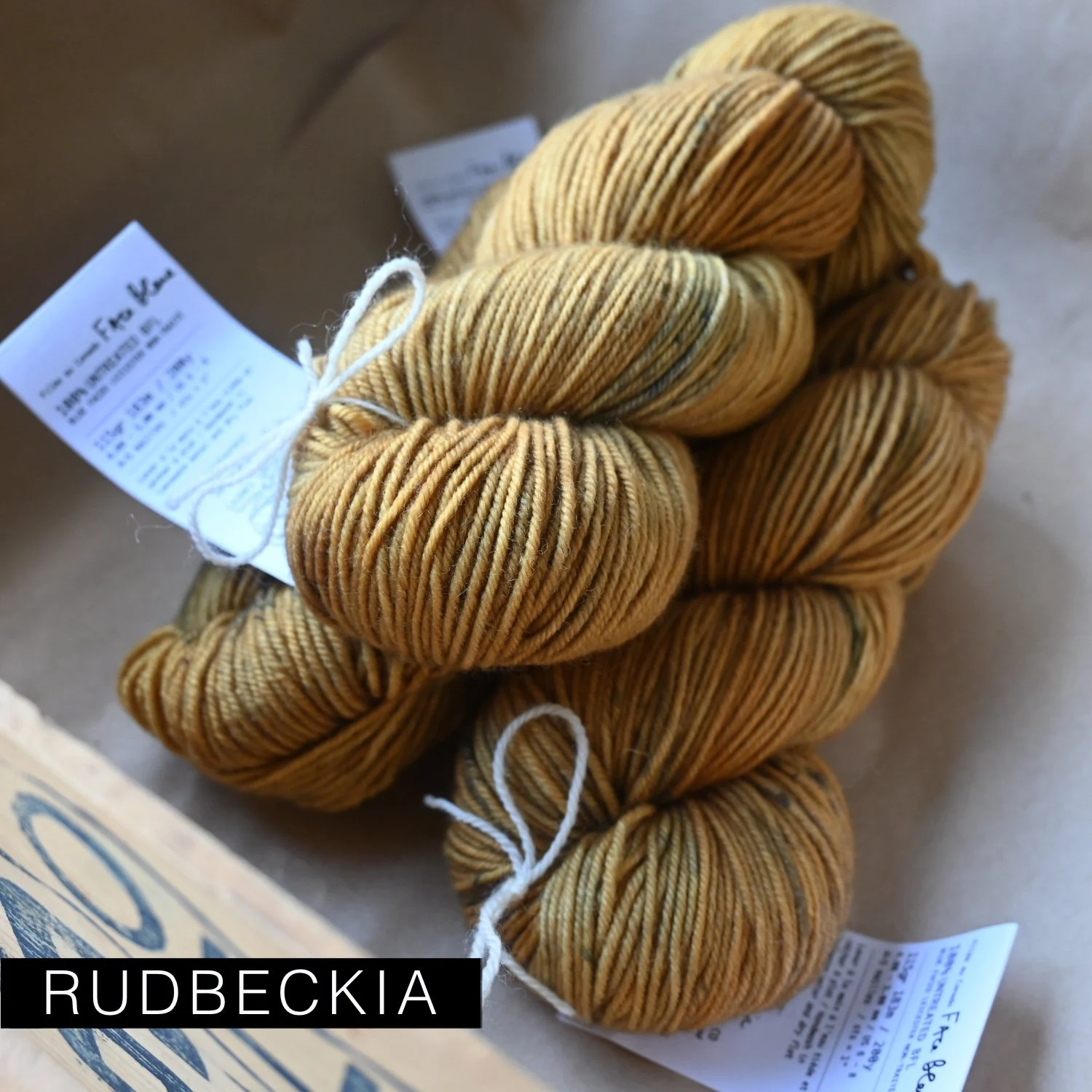 FaceBleue_rudbeckia.jpg