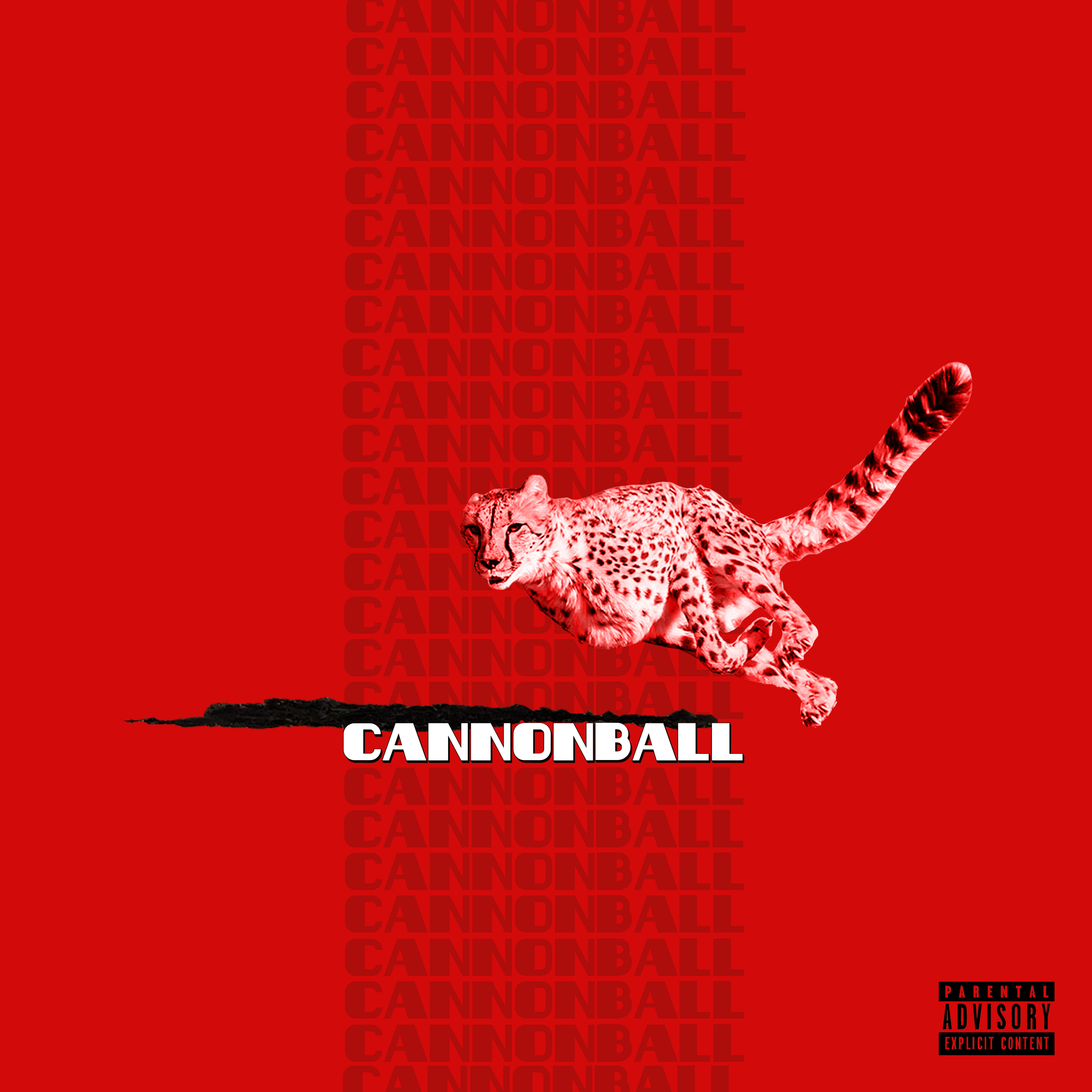cannonballcover.png
