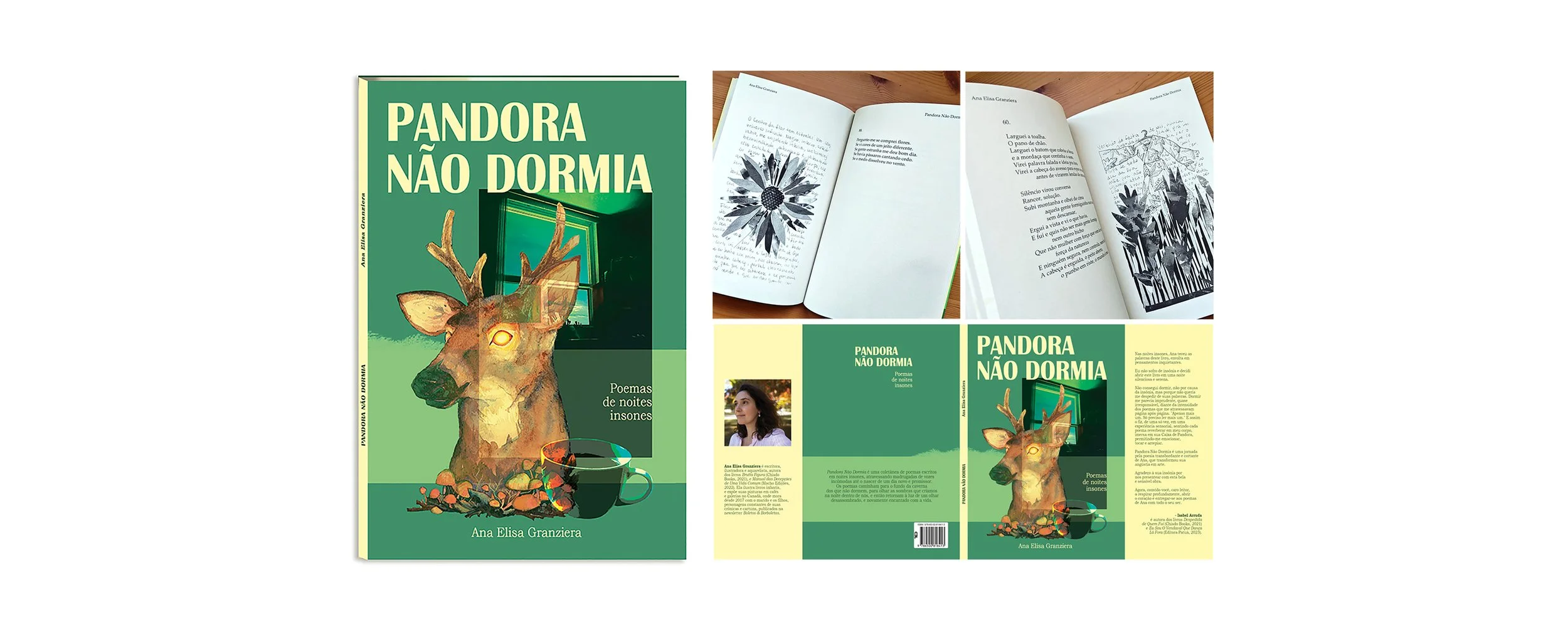 BookDesignPandora.jpg