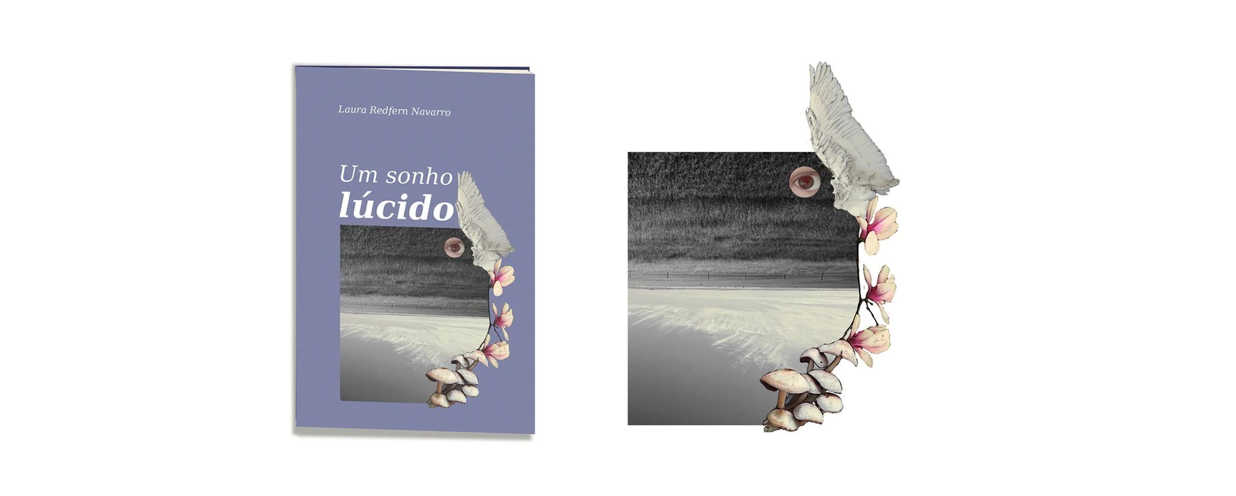 BookDesignLauraNavarro.jpg