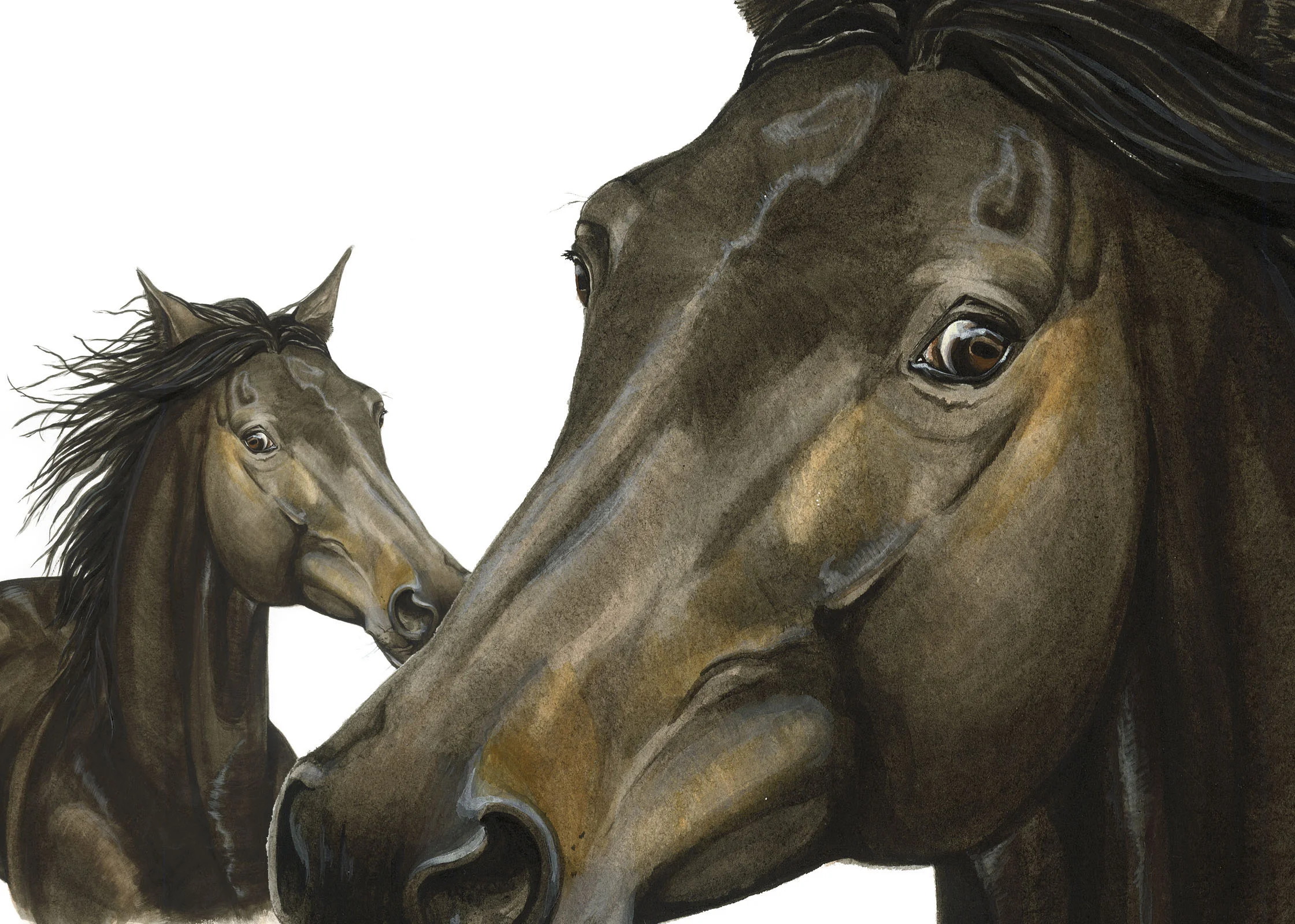 KUNDE: BLAHA OFFICE ILLUSTRATION BLAHA INSTINCT PFERD AUFTRAGGEBER: BLAUPAPIER http://www.blaha.co.at/frame
