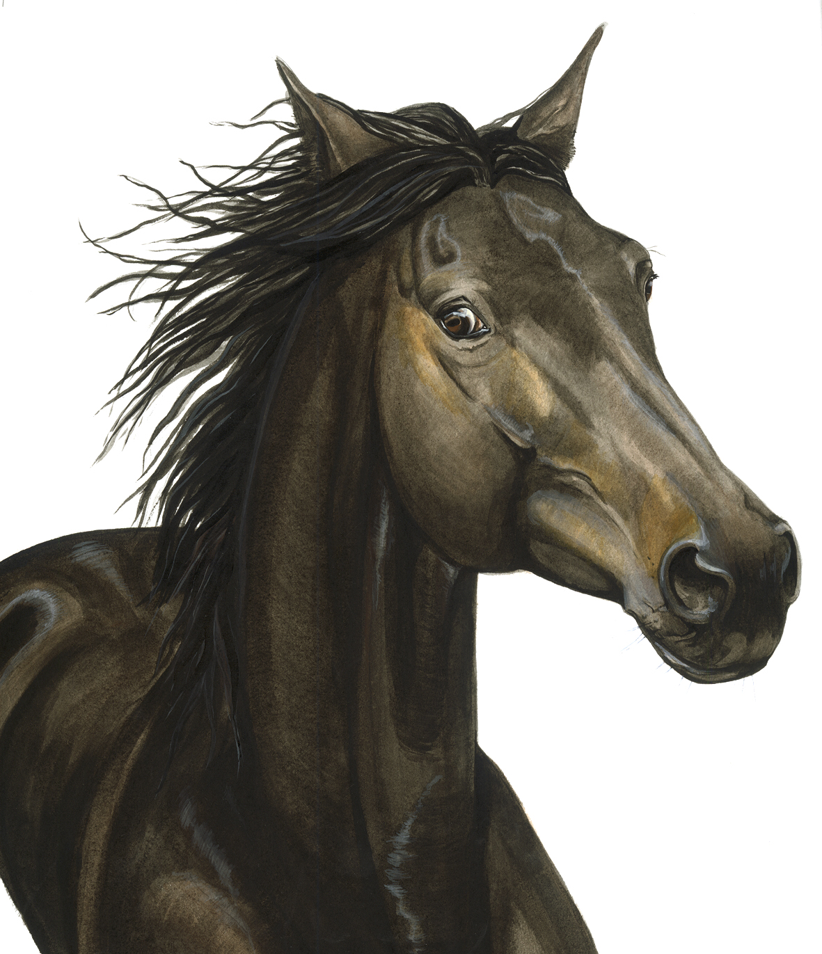 PORTRAIT "MORITZ"
