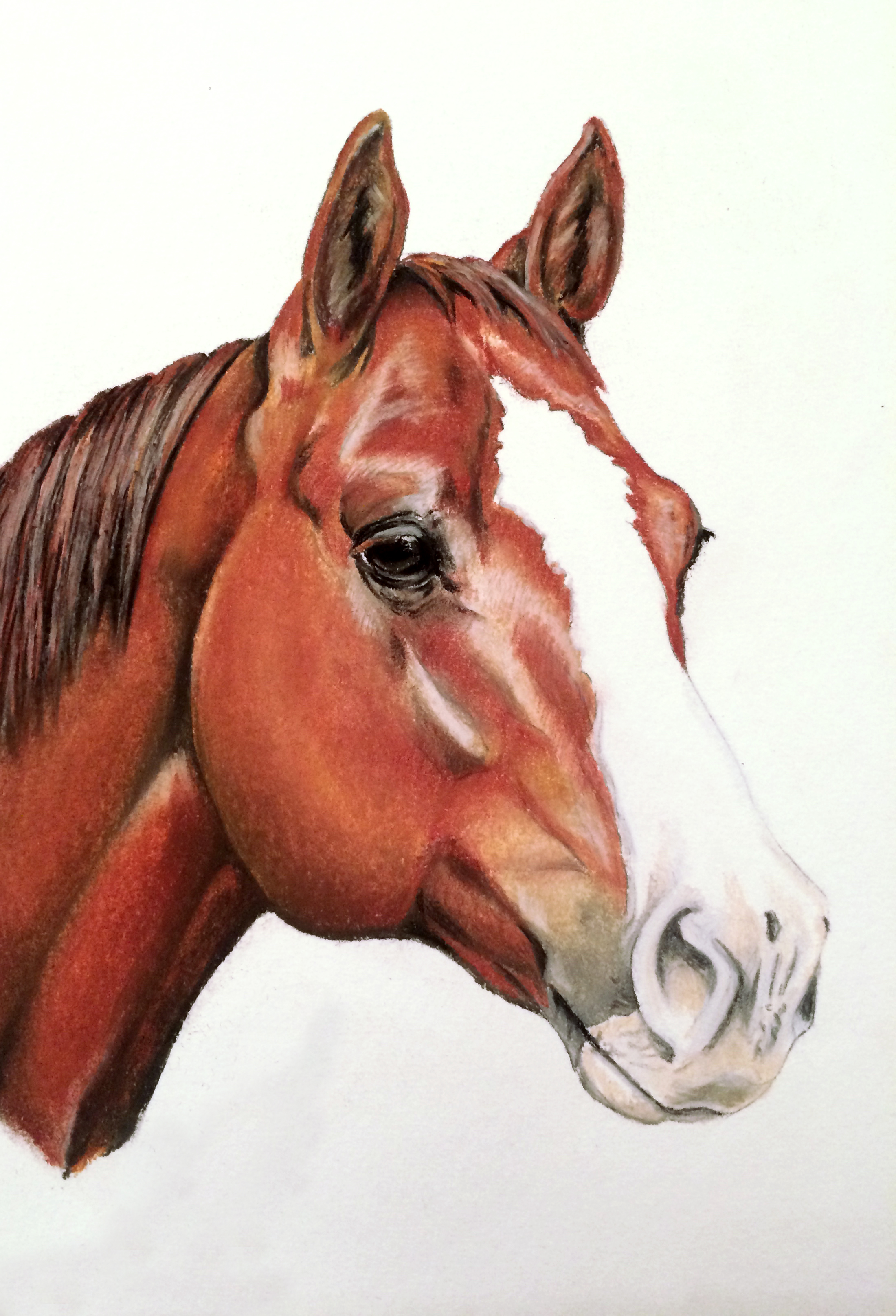 PORTRAIT "DIAMONDS ROYAL OAK"