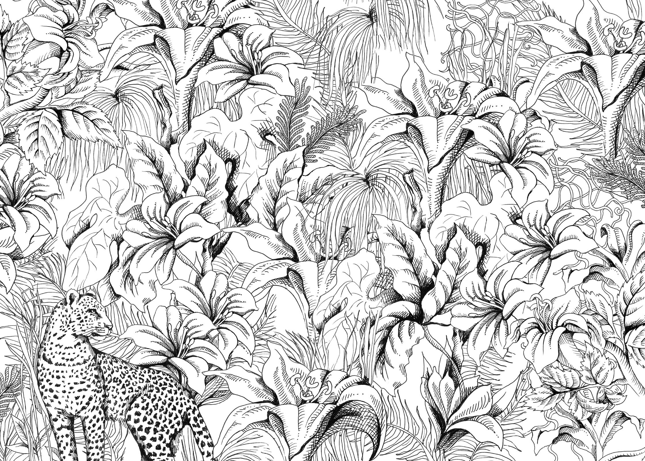 mia_screen_2400x1600_09.jpg