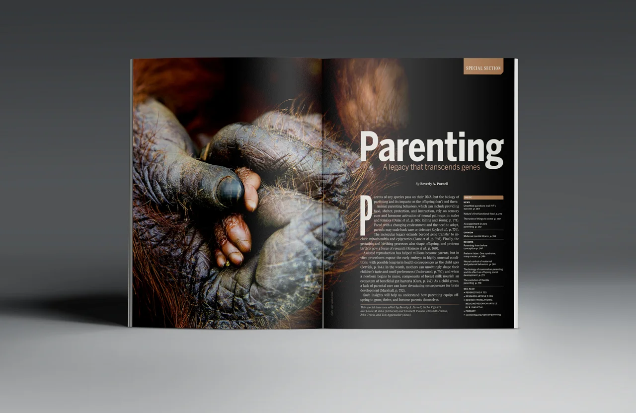 Parenting Special Issue