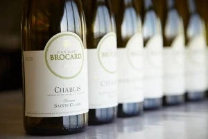 brocard1.jpg