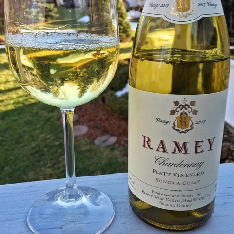 ramey platt 2013.jpg