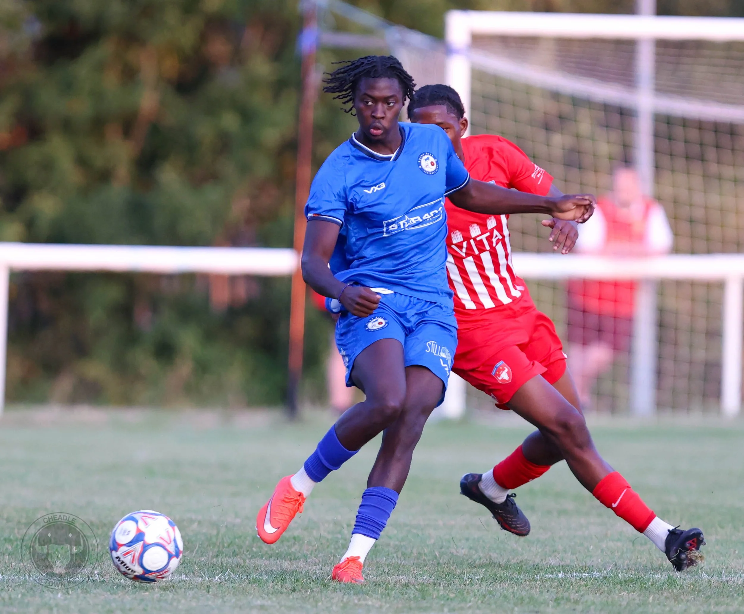 1I4A1586.jpg