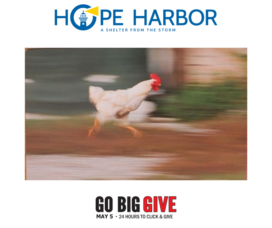 You on your way to donate and support women and families in need of Hope Harbor's services.