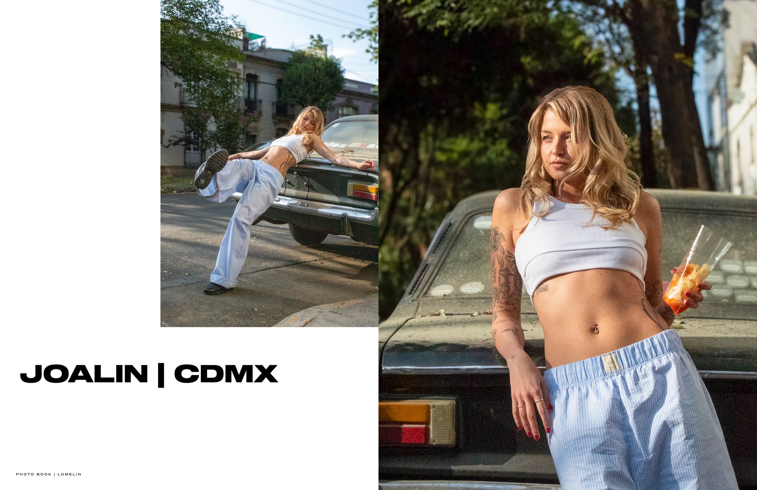 BOOK LOMELIN 202629.jpg