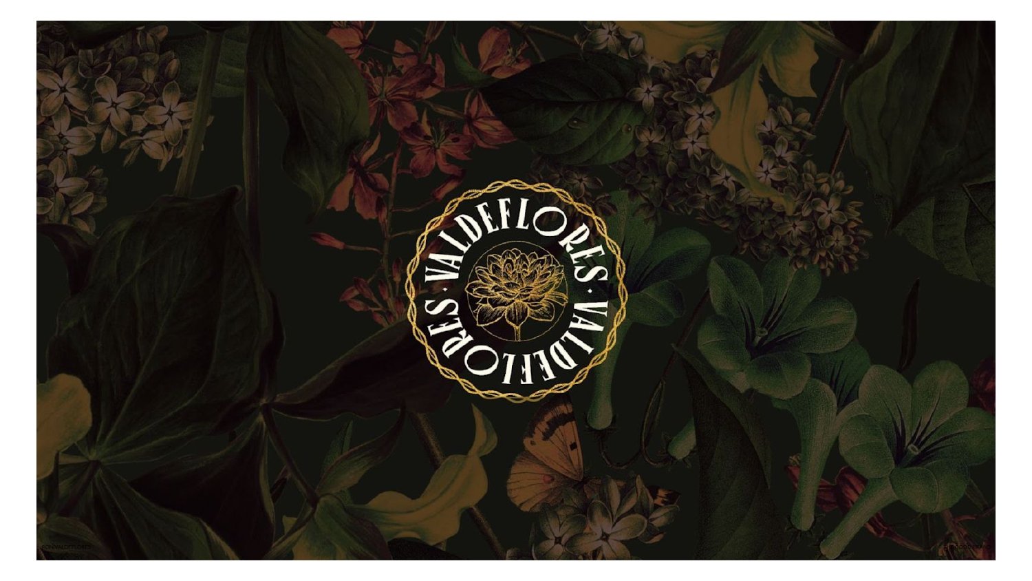 BOOK x LOMELIN (1)_page-0020.jpg