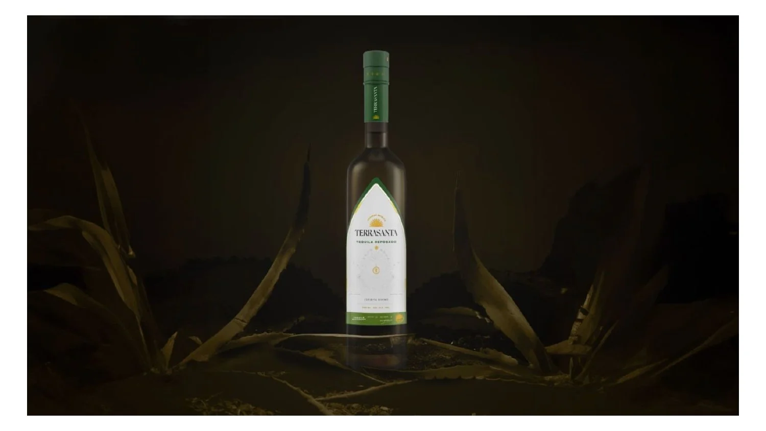 BOOK x LOMELIN (1)_page-0016.jpg