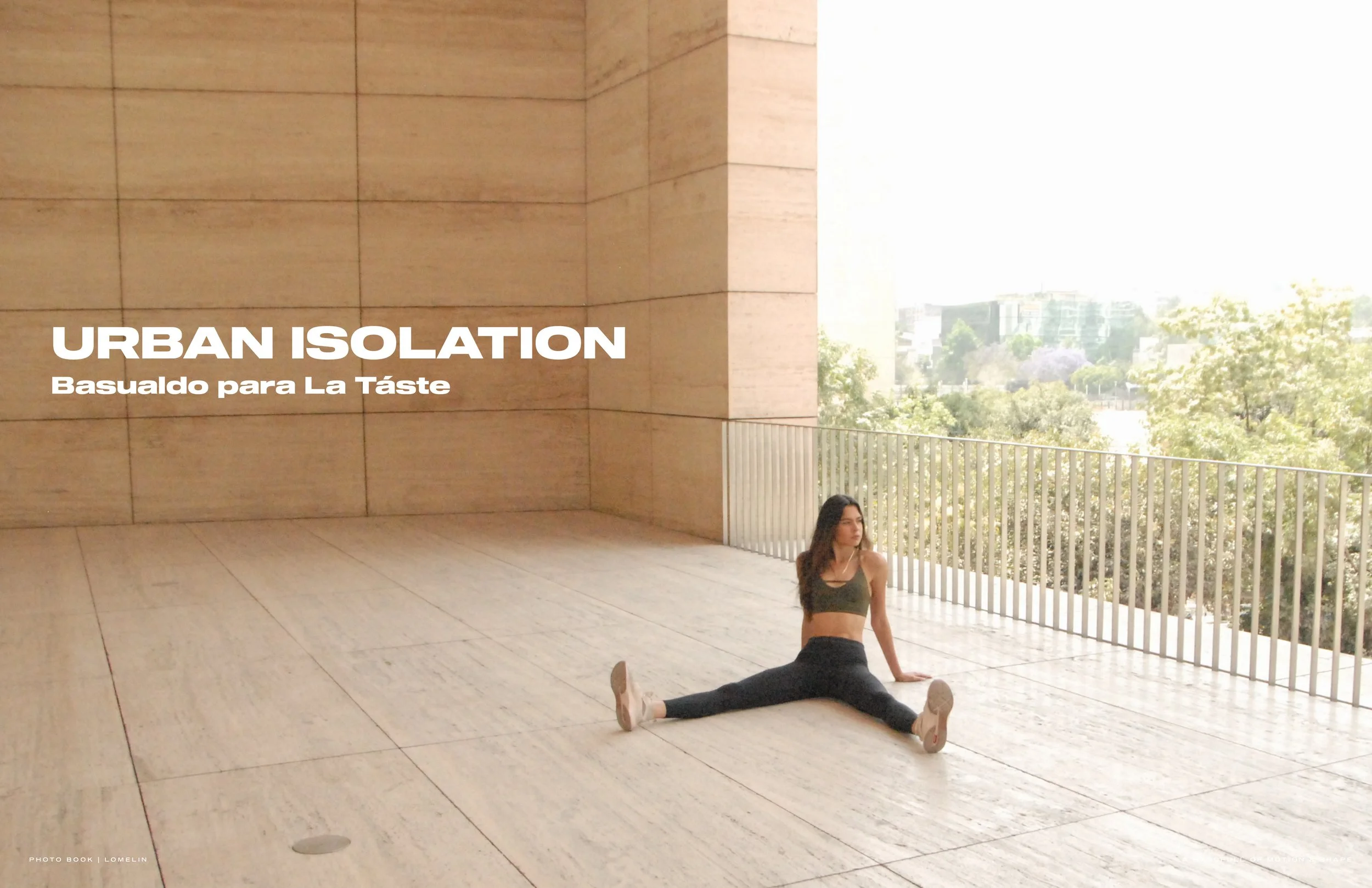 BOOK LOMELIN 202617.jpg