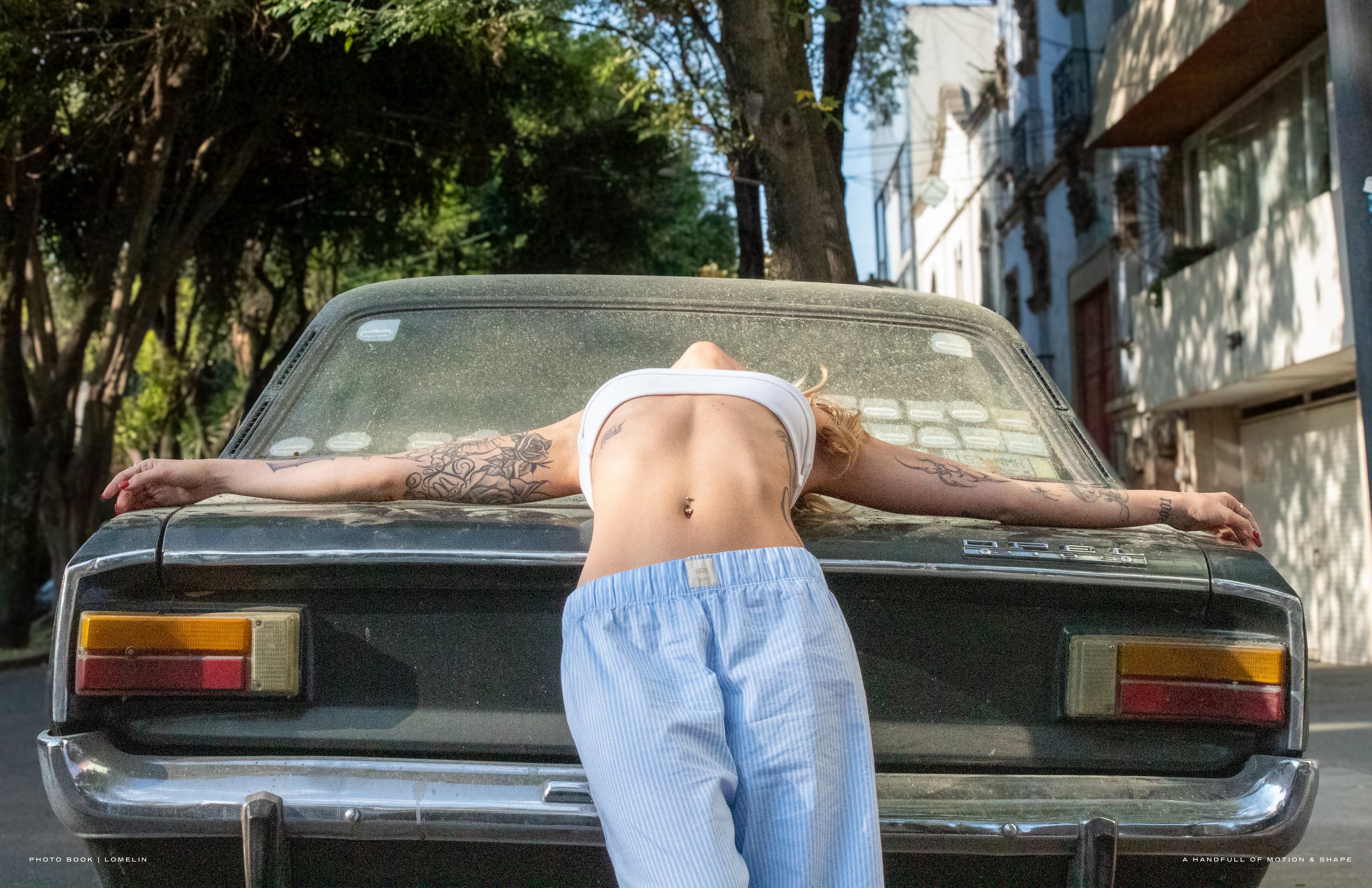 BOOK LOMELIN 202630.jpg