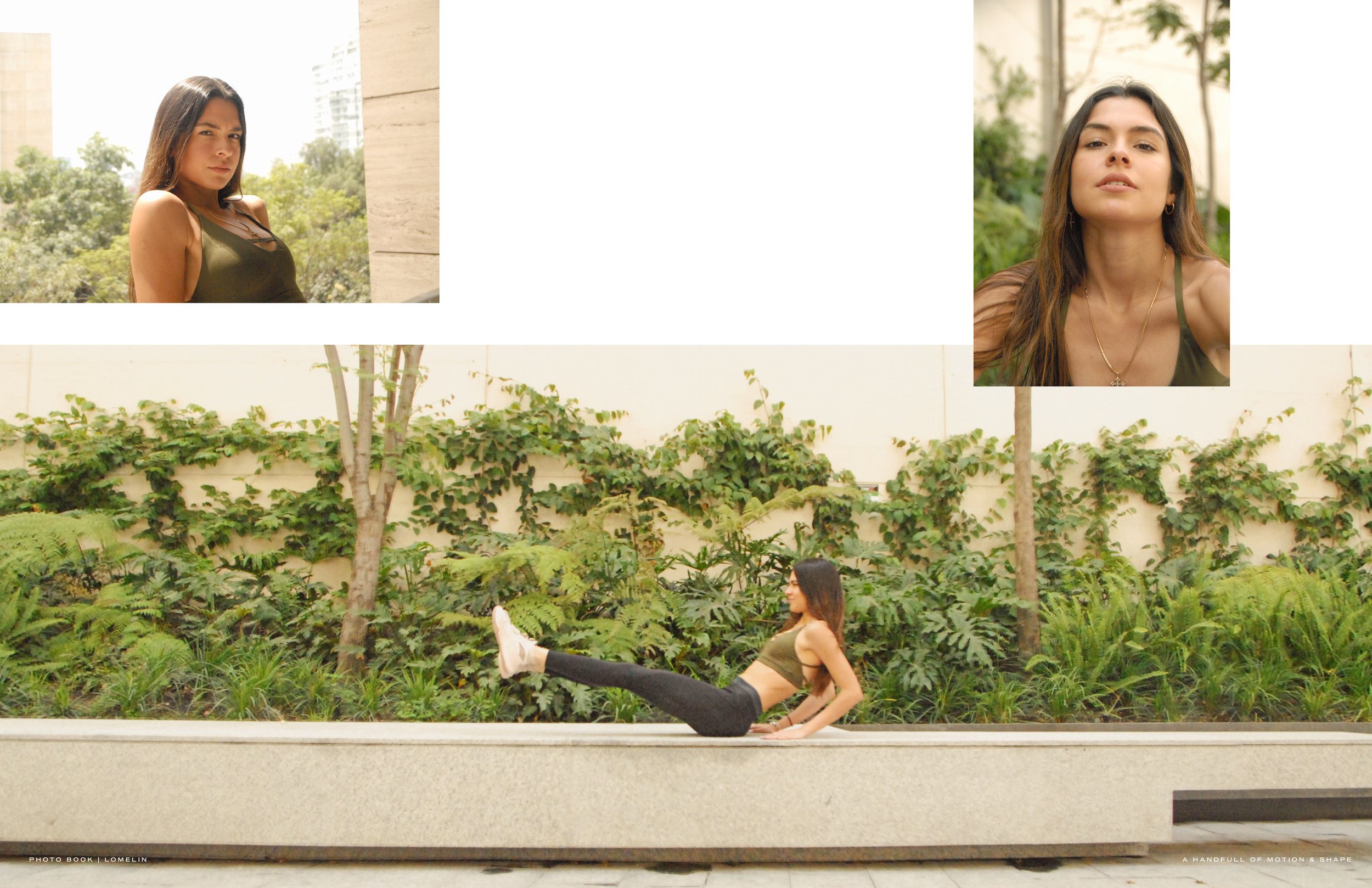 BOOK LOMELIN 202619.jpg