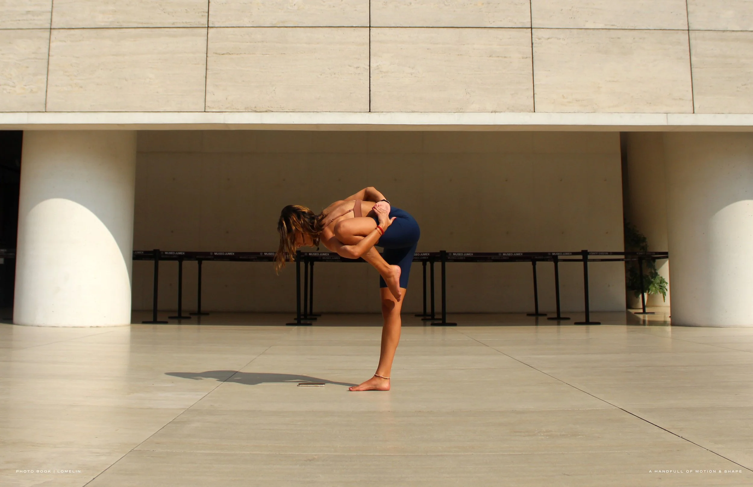 BOOK LOMELIN 202627.jpg