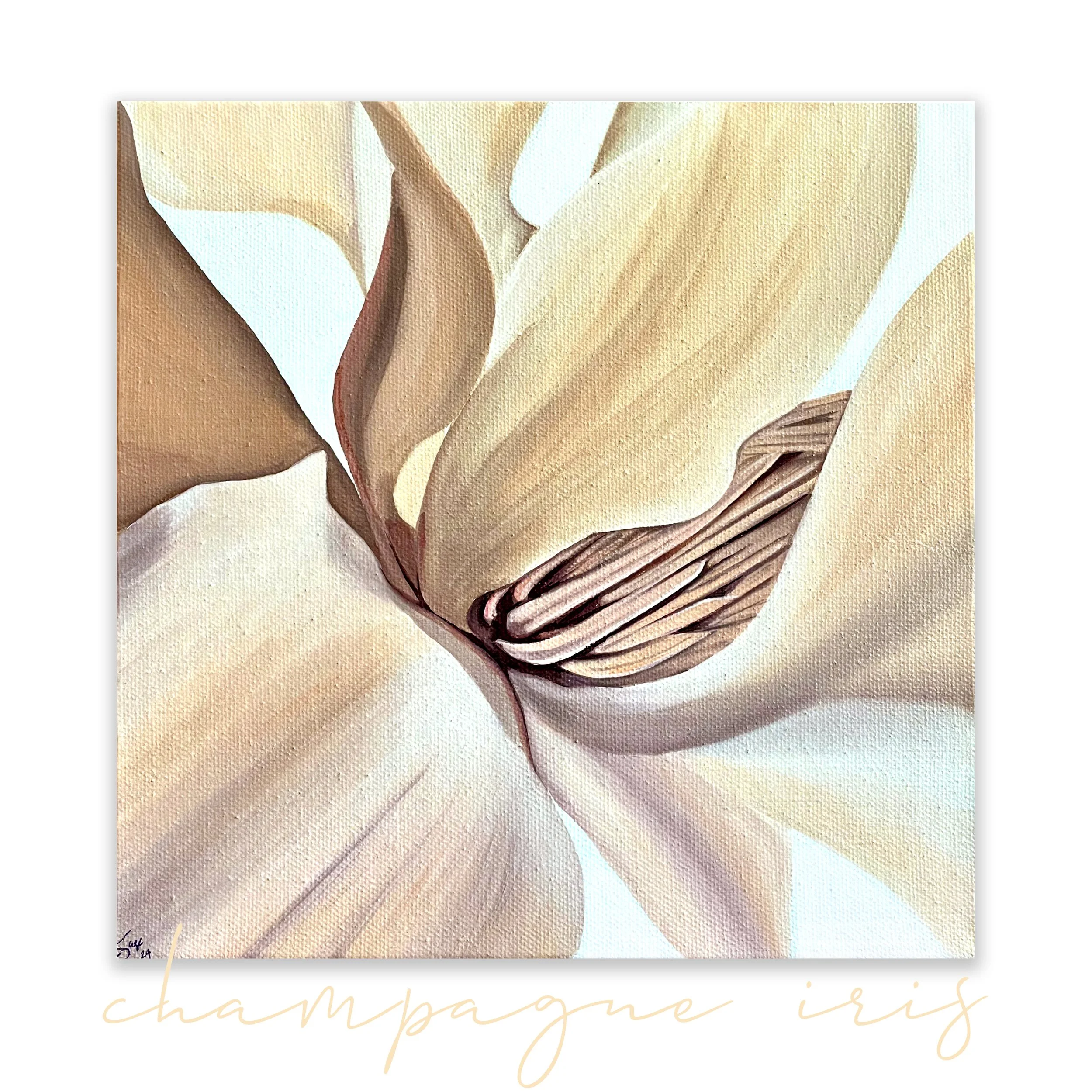 champagne iris.jpg