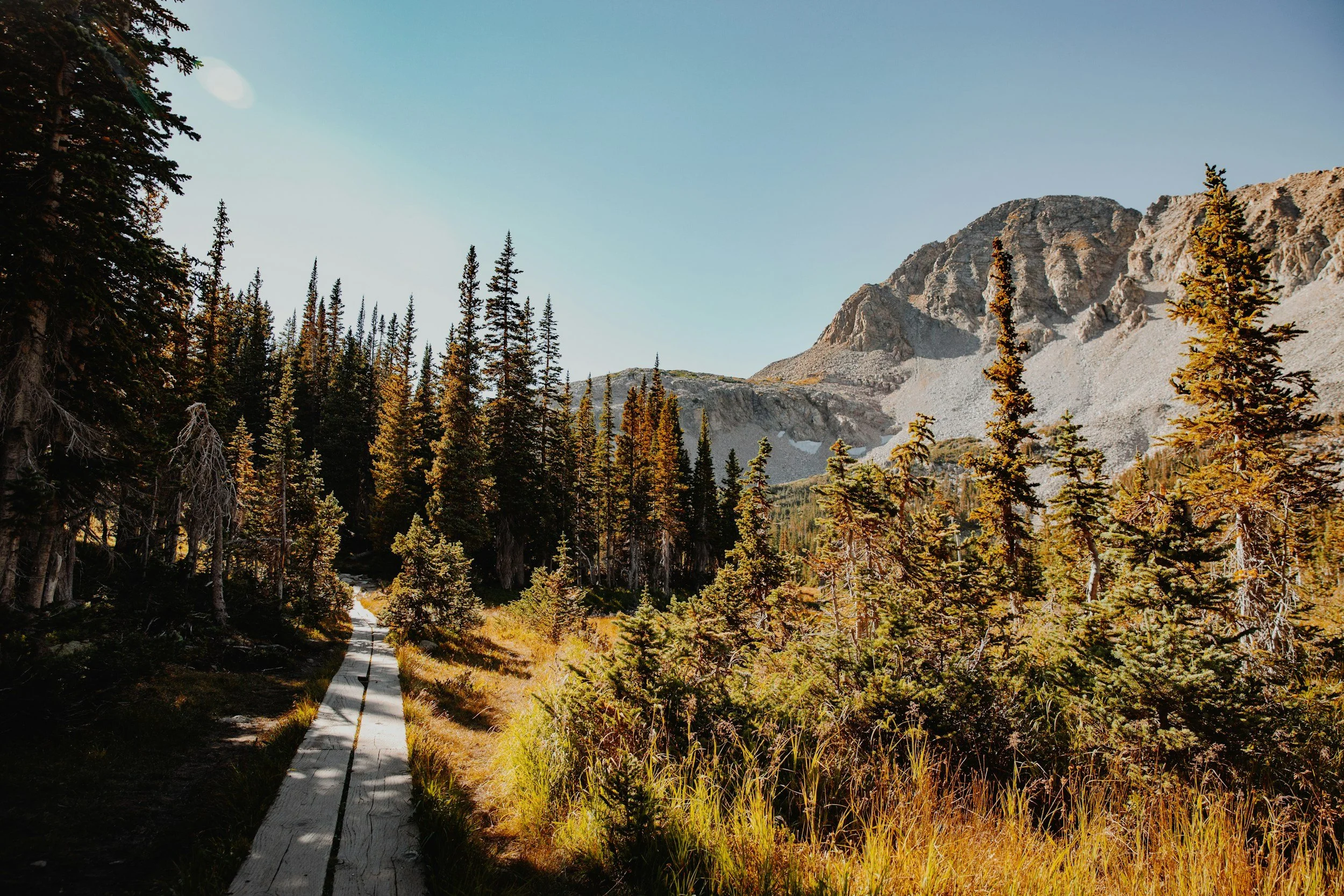 Maximizing Your Fundraising Success: The Role of Your CFO