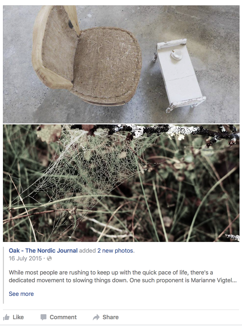 slowdesign_oakthenordicjournal.jpg