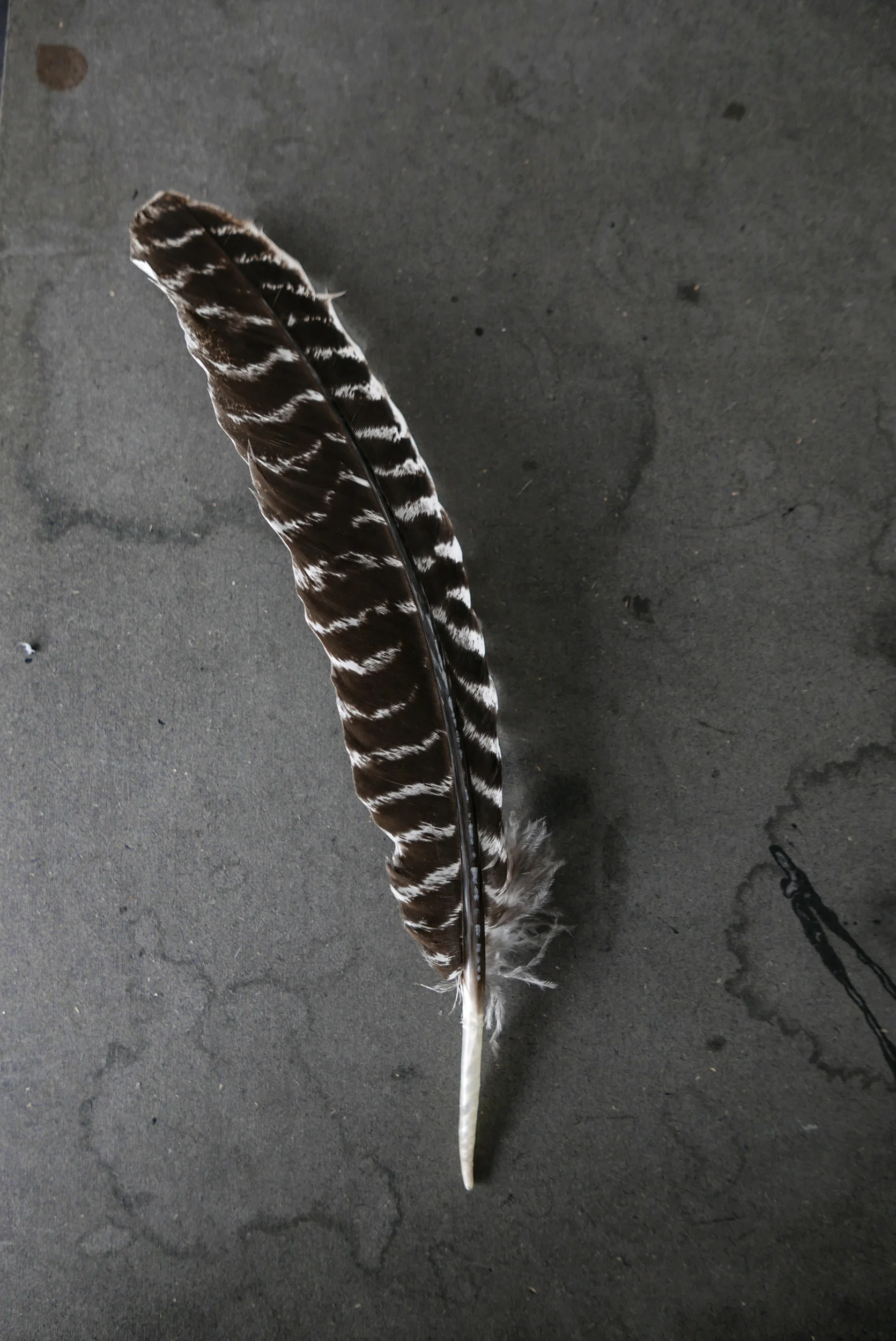 slowdesign_fj%C3%A6r27.jpg