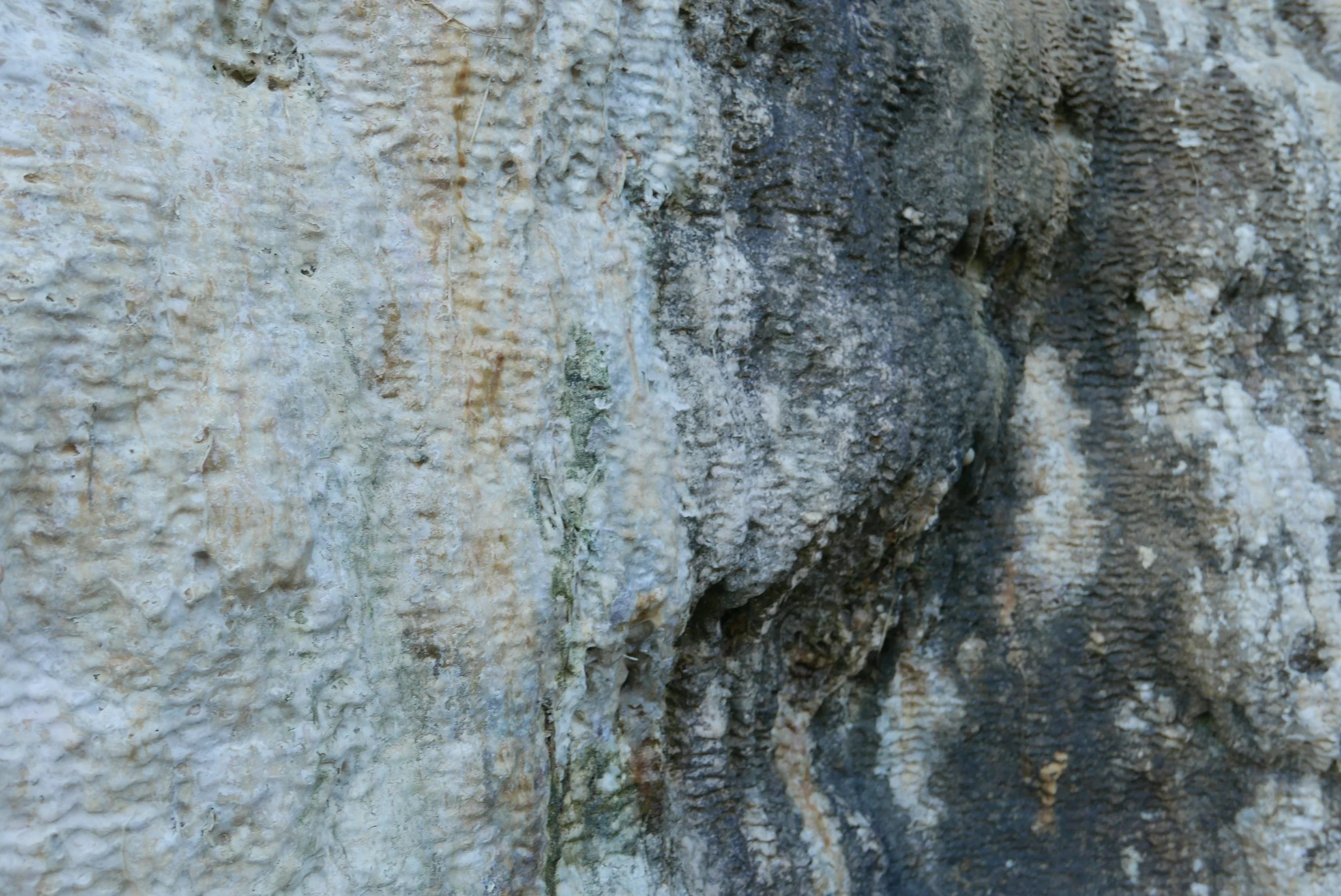 slowdesign_stone.jpg