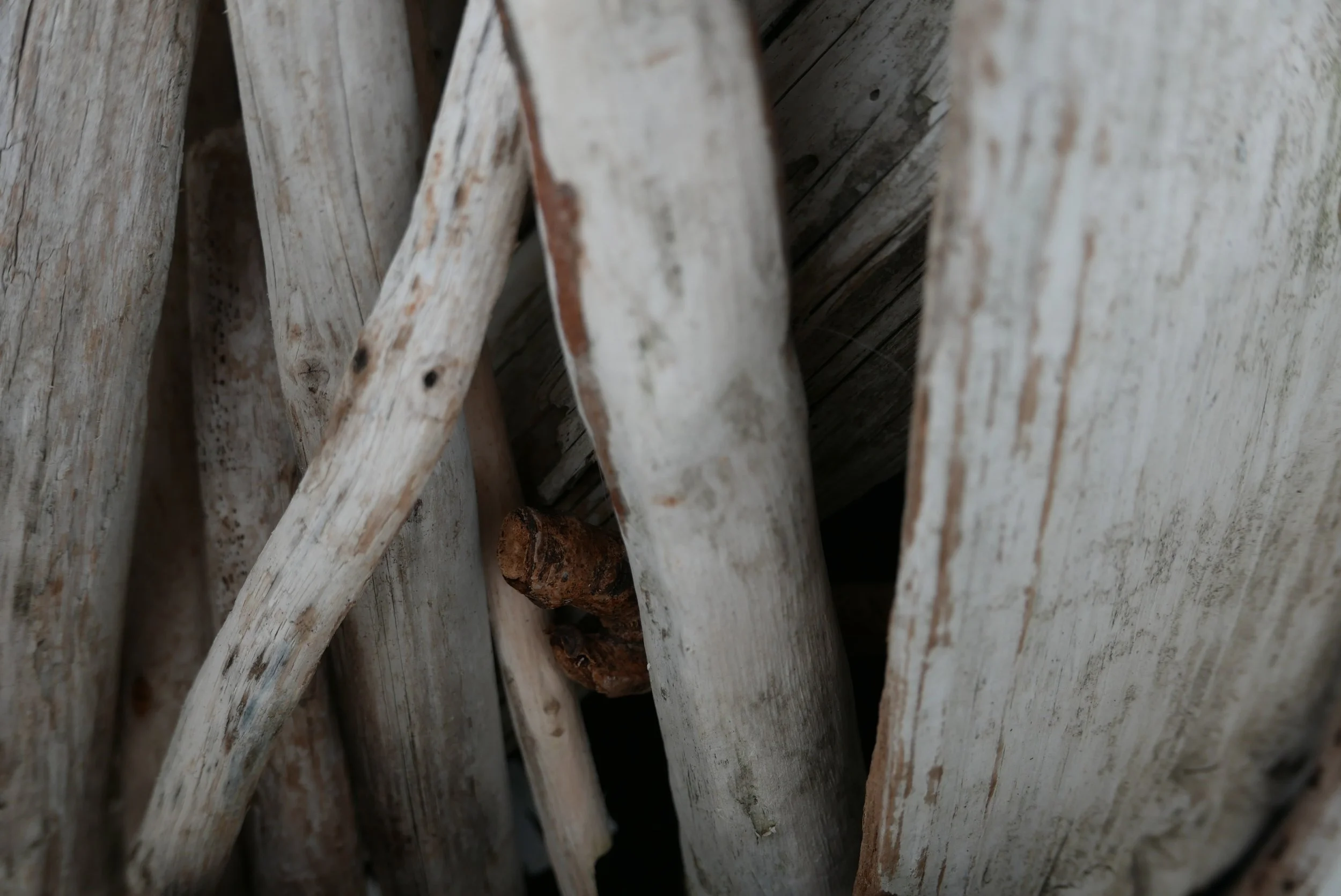 slowdesign_driftwood.jpg